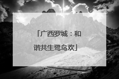 广西罗城：和谐共生鹭鸟欢